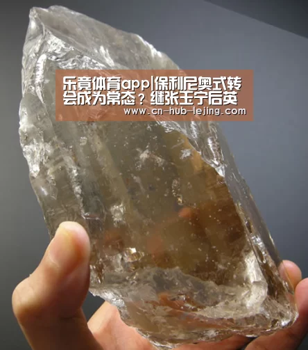 乐竟体育app