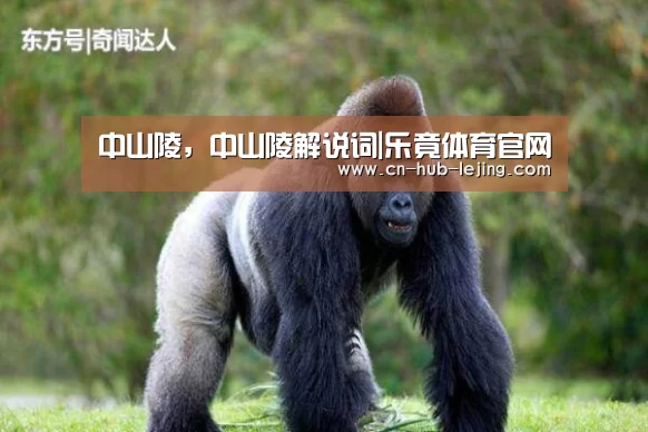 乐竟体育app