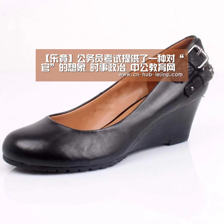 【乐竟】公务员考试提供了一种对“官”的想象_时事政治_中公教育网(图4) 乐竟